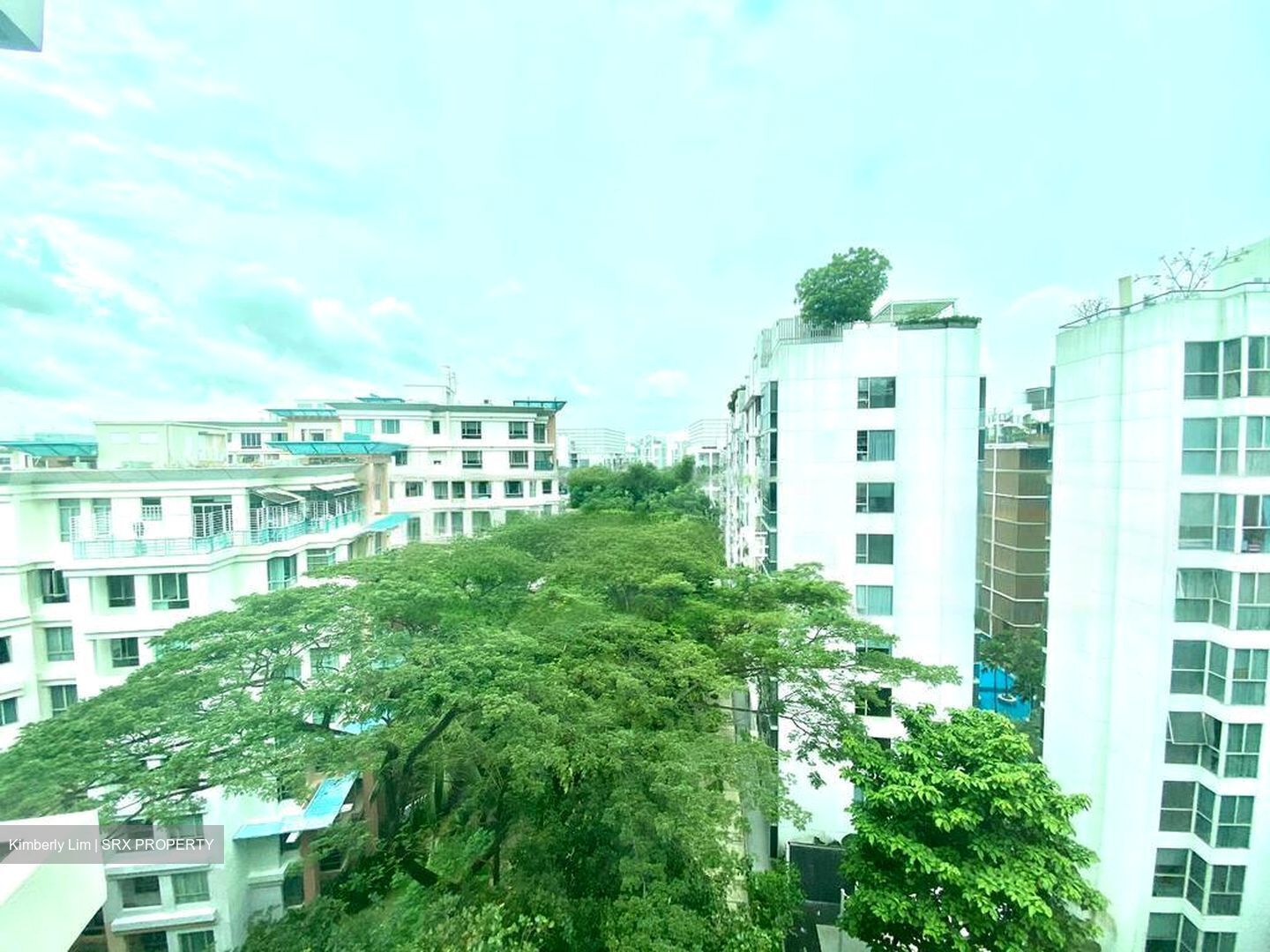 Maplewoods (D21), Condominium #559915401